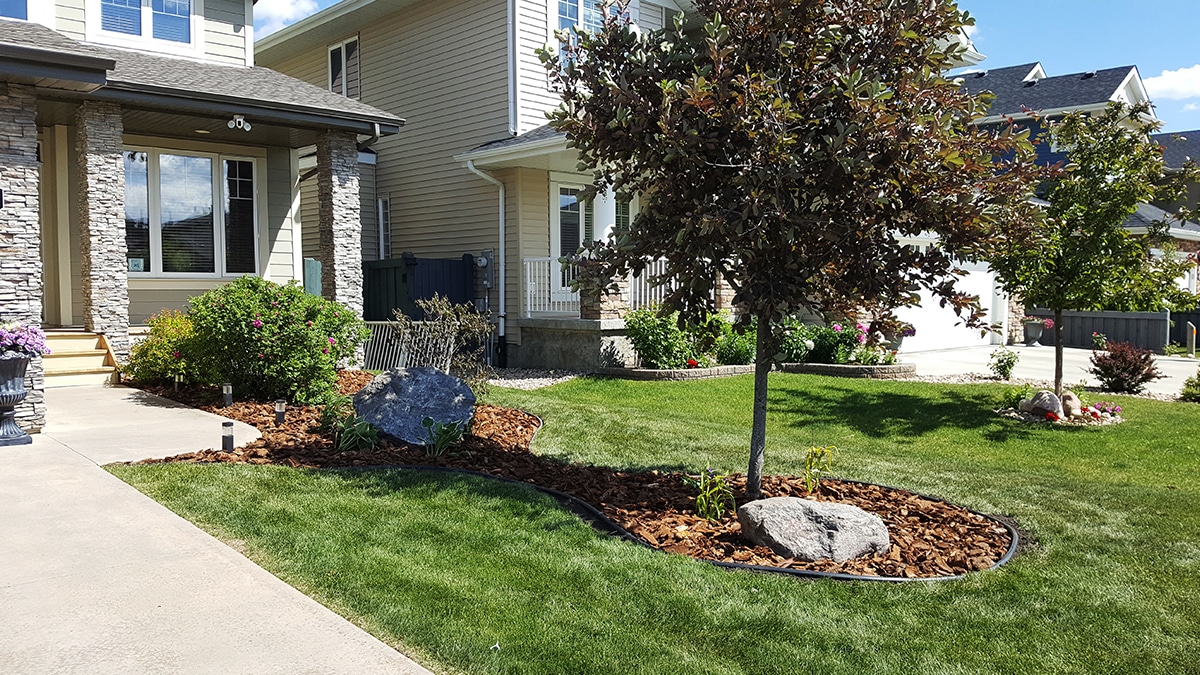 Landscape Design in Callalen